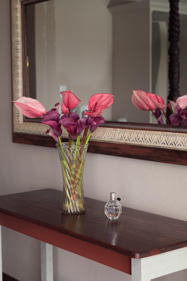 Annie'S Boutique Guesthouse And Garden Spa هارتبيسبورت المظهر الخارجي الصورة